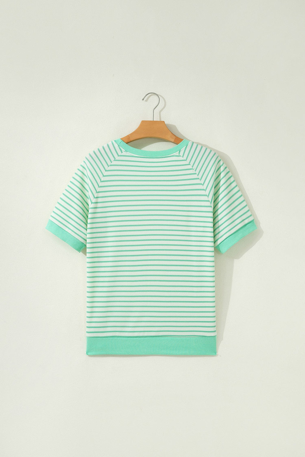 Green Stripe Colorblock Trim Round Neck Short Sleeve Tee