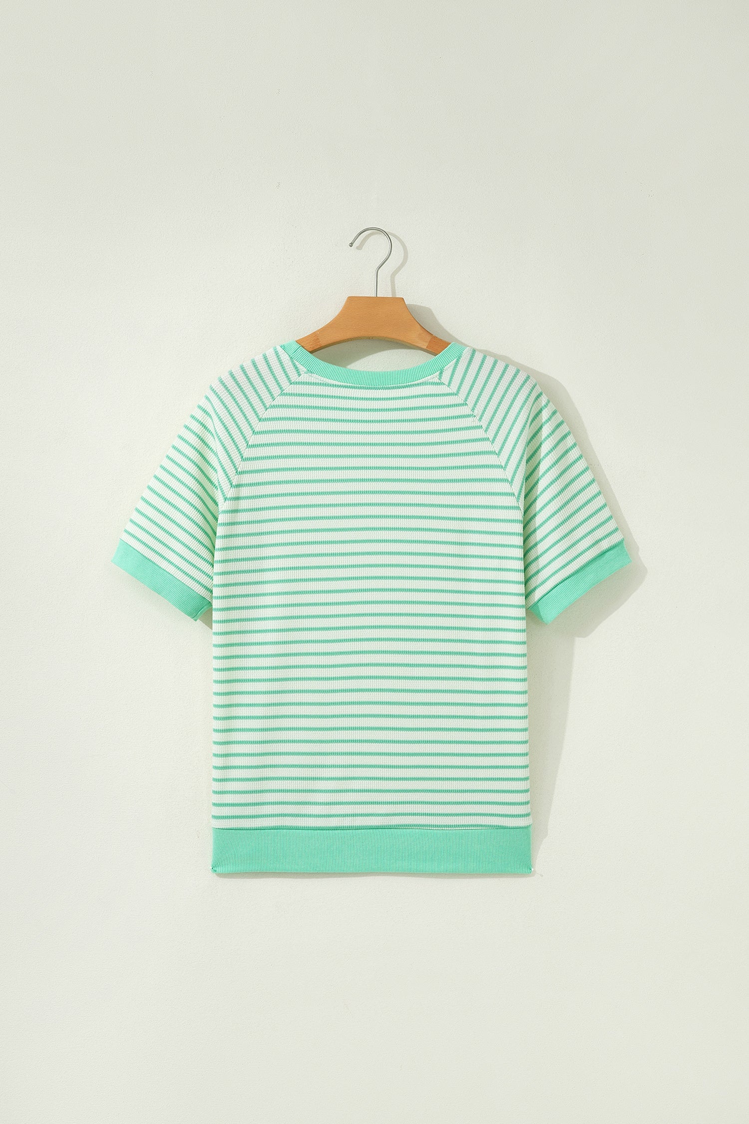 Green Stripe Colorblock Trim Round Neck Short Sleeve Tee