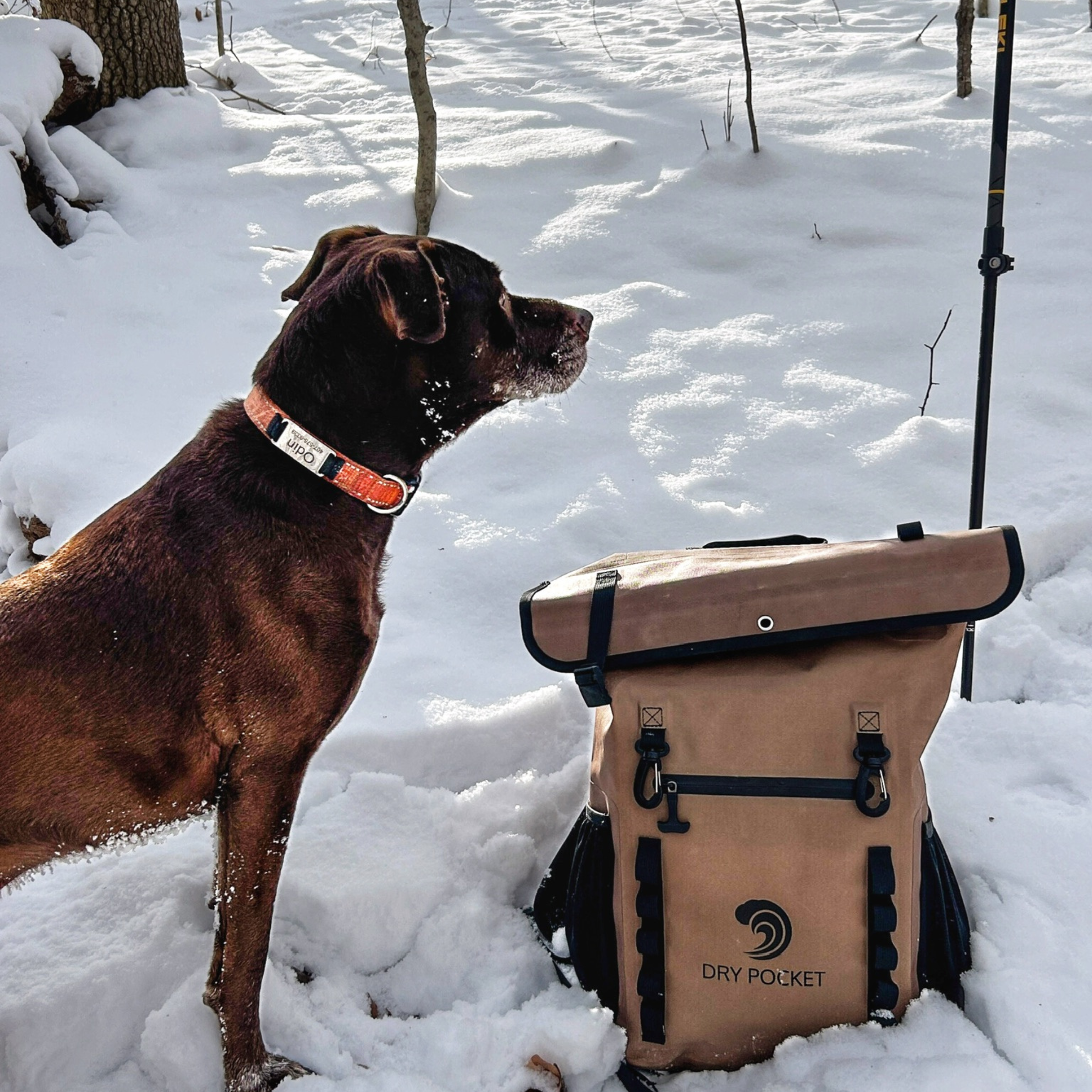 [PRE-ORDER] Waterproof Floating Backpack Dry Bag - Coyote Brown [Restocking in July 2026]