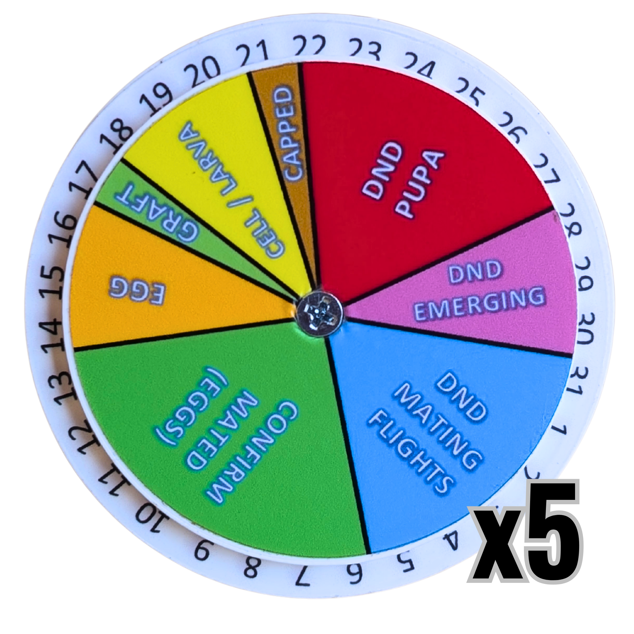 Queen Right Dial - Mating Indicator