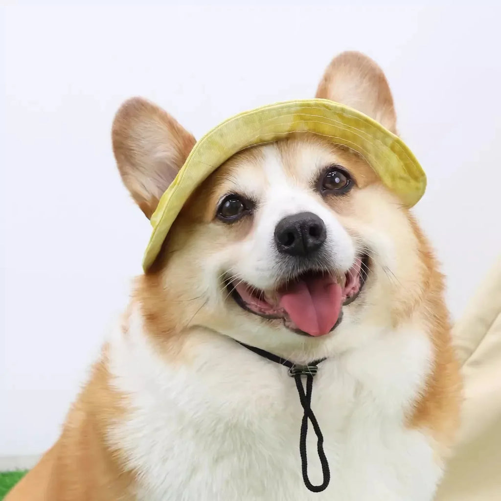 Dog Sun Hat with Ear Holes | Breathable Cotton Bucket Hat for Small Pets