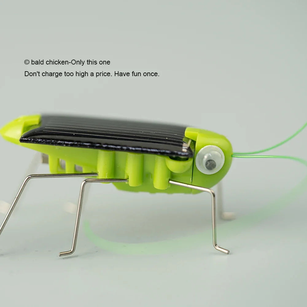 Solar Powered Grasshopper Toy | STEM Science Education Wooden Puzzle Kit