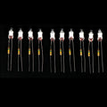 10Pcs Neon Light Bulbs 4x10mm 5x13mm 220V | Main Power Indicator with Built-in Resistor