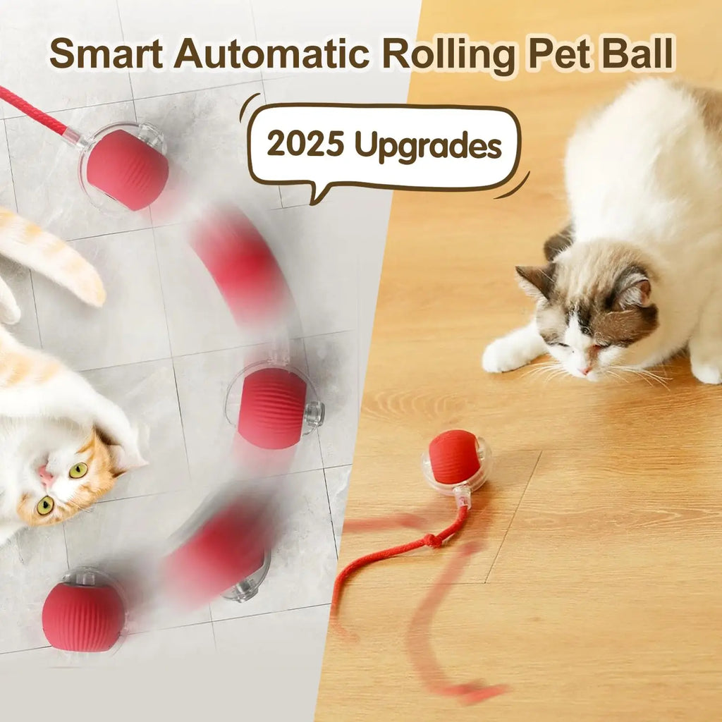 Interactive Smart Cat Toy Ball | Automatic Rolling Ball with Obstacle Avoidance