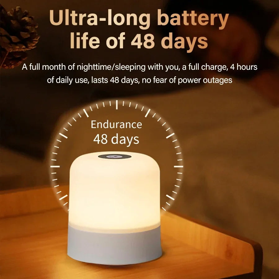 LED Table Lamp with Remote and Touch Control | Dimmable Rechargeable Night Light for Bedroom Decor