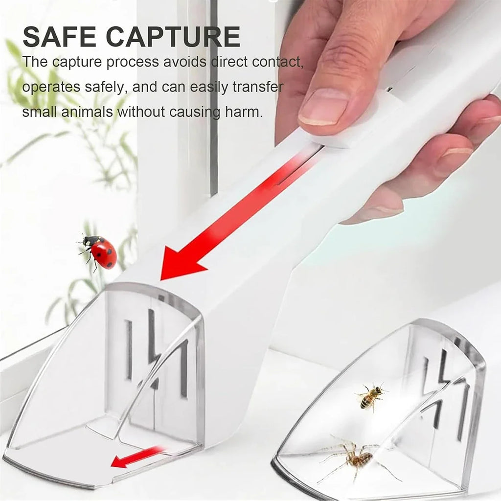 Bug Catcher for Kids | Humane Insect Capture and Observation Tool