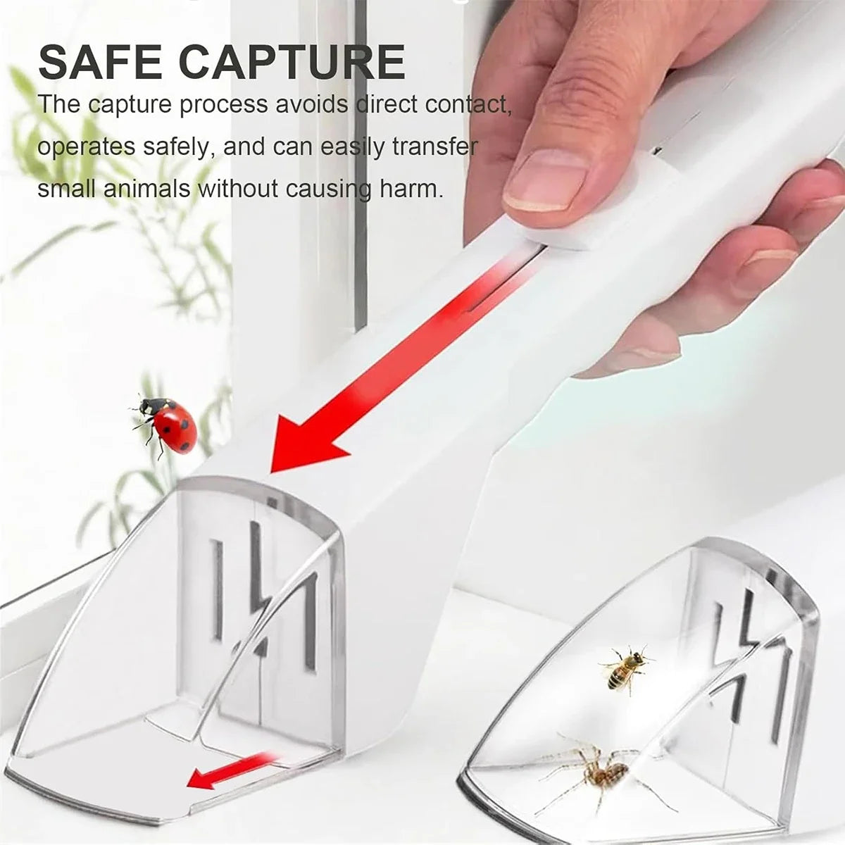 Bug Catcher for Kids | Humane Insect Capture and Observation Tool