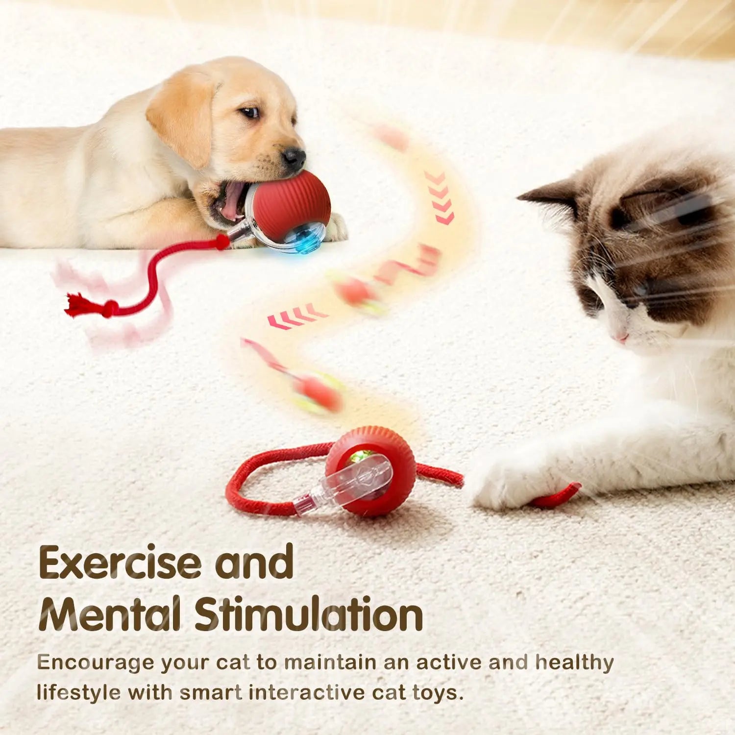Interactive Smart Cat Toy Ball | Automatic Rolling Ball with Obstacle Avoidance