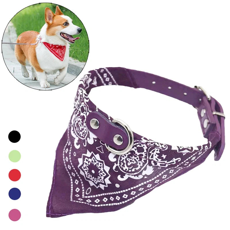 Adjustable PU Dog Cat Collar with Detachable Scarf | Pet Accessories for Small Medium Dogs and Cats