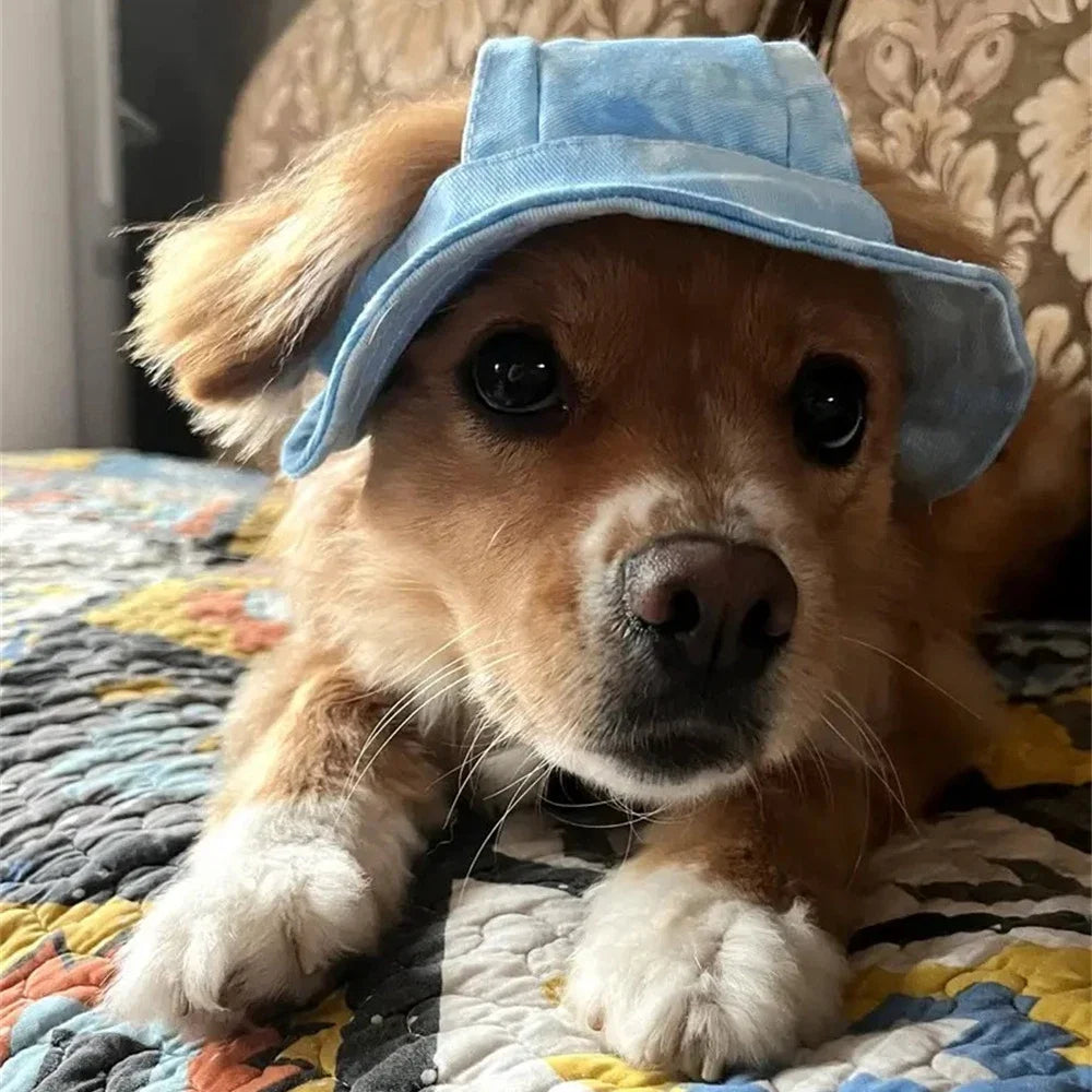 Breathable Pet Sun Hat | Cooling Shade for Small Dogs and Cats