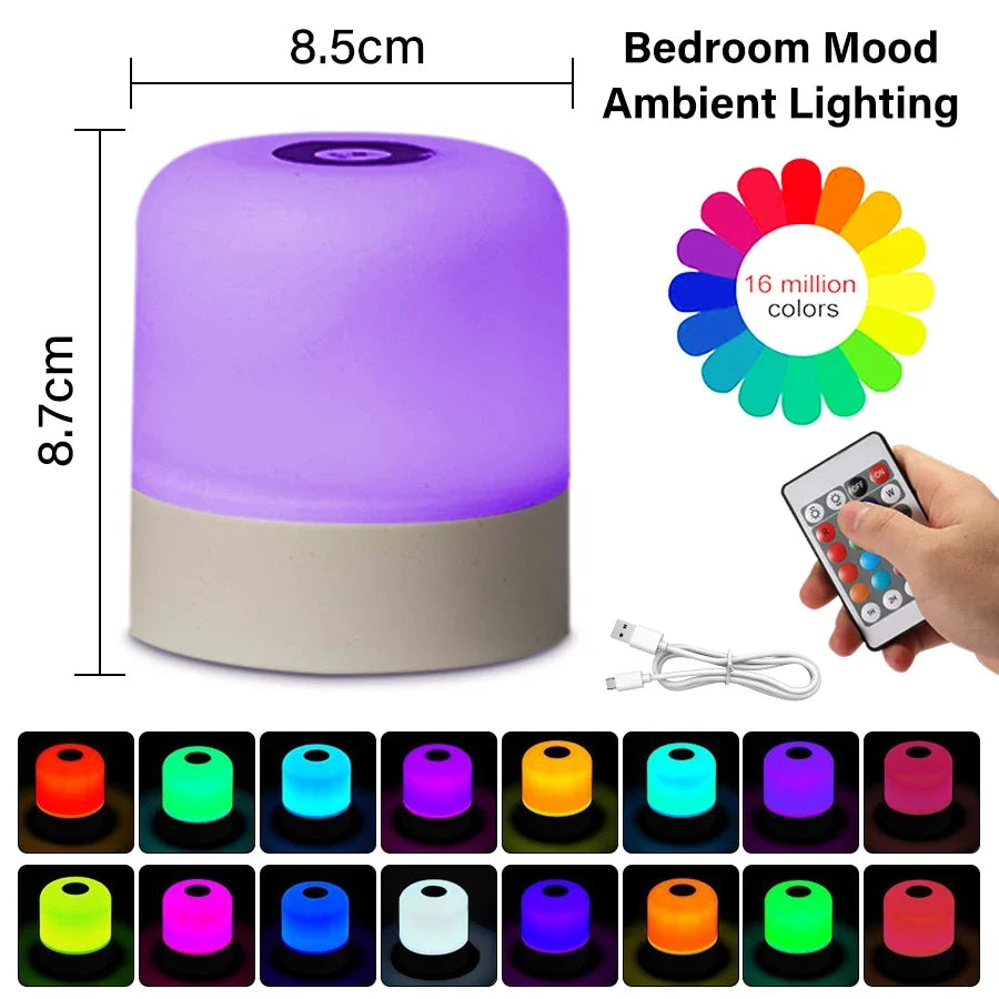 LED Table Lamp with Remote and Touch Control | Dimmable Rechargeable Night Light for Bedroom Decor
