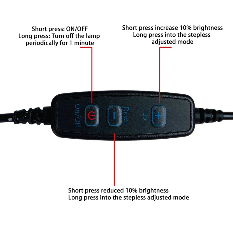 DC5V 24LED USB Night Light | 7 Color Atmosphere Lamp for Live Streaming