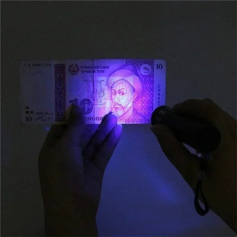 UV Flashlight LED Ultraviolet Torch | Zoomable Mini Inspection Light for Pet Urine and Stains