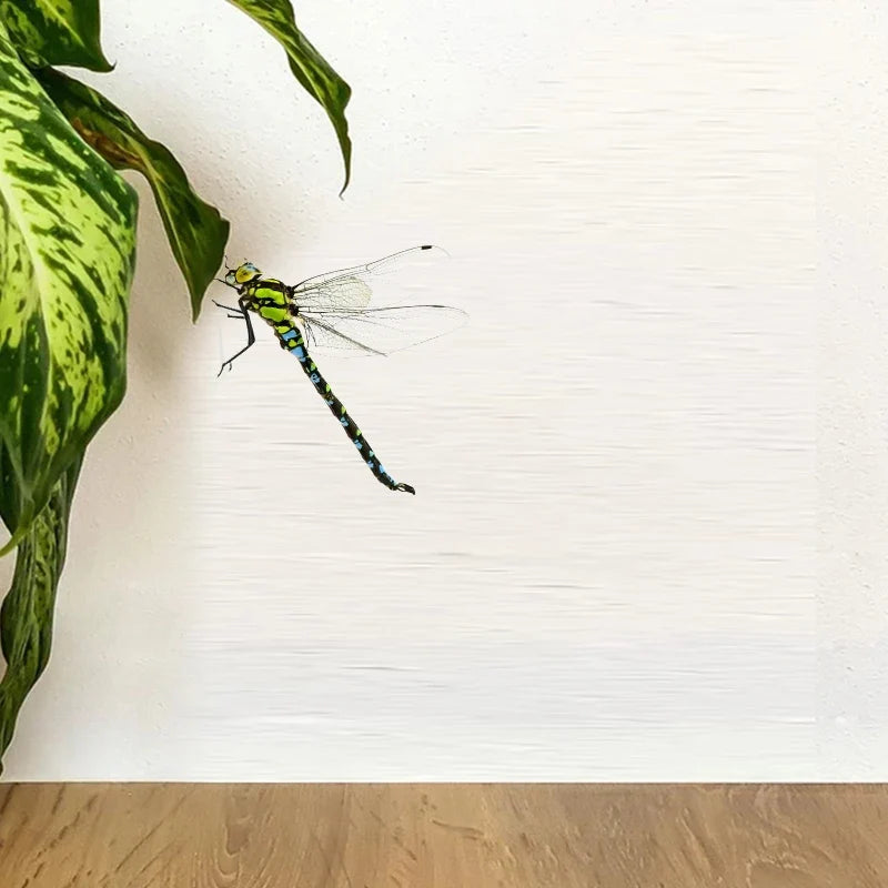 Realistic Dragonfly Wall Sticker | Home Decoration Decals