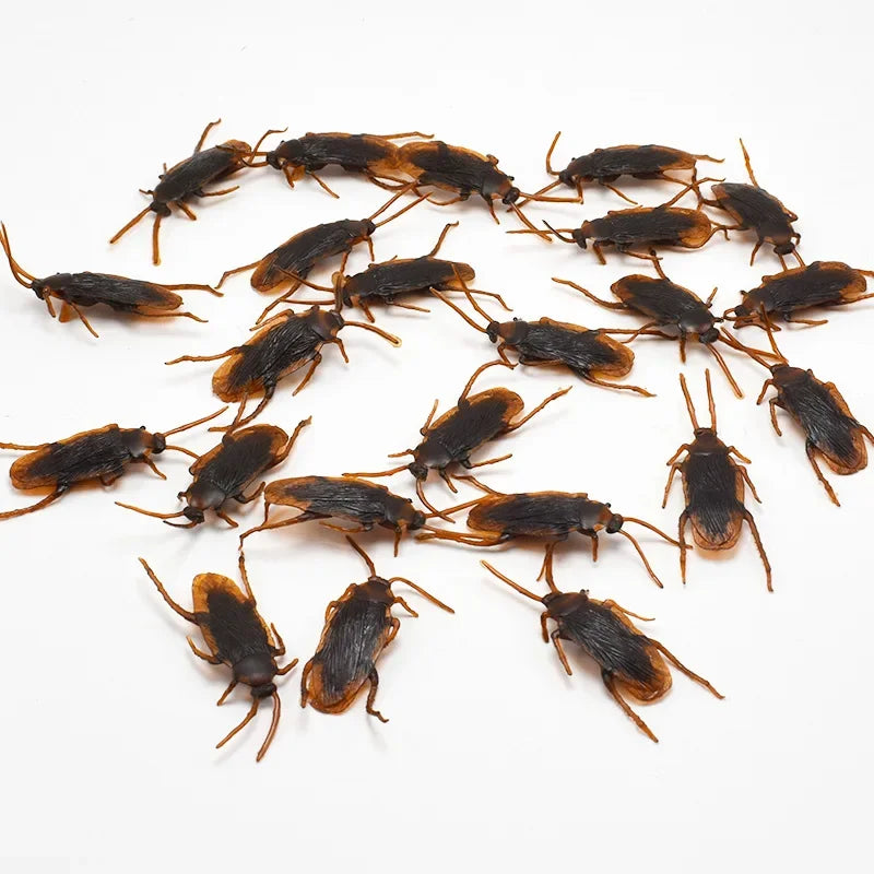 Lifelike Fake Cockroach Toy | Realistic Prank Joke Insect