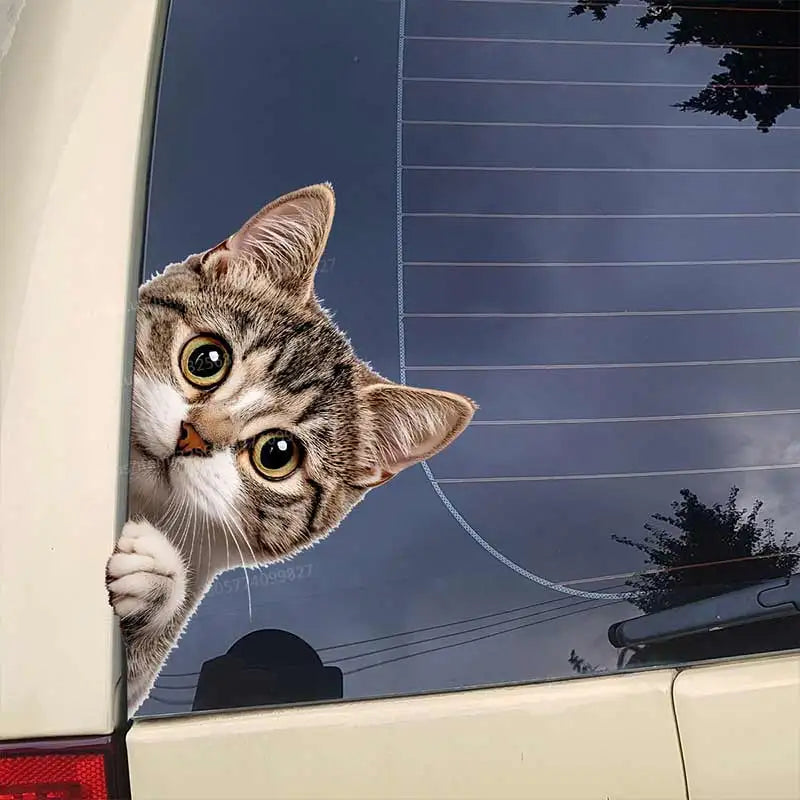 Cat Peeking Window Wall Sticker | Funny Home Decoration Decal