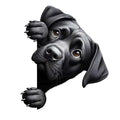 Dog Peeking Around The Corner Light Switch Wall Sticker | Cartoon Animal Decals for DIY Home Decor