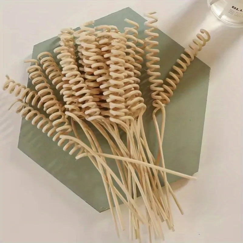 10Pcs Plant Curved Rattan Sticks | Reed Diffuser Replacement Sticks for Home Fragrance