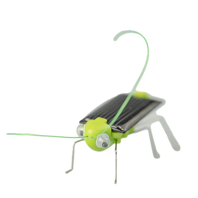Solar Powered Grasshopper Toy | STEM Science Education Wooden Puzzle Kit