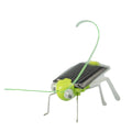 Solar Powered Grasshopper Toy | STEM Science Education Wooden Puzzle Kit