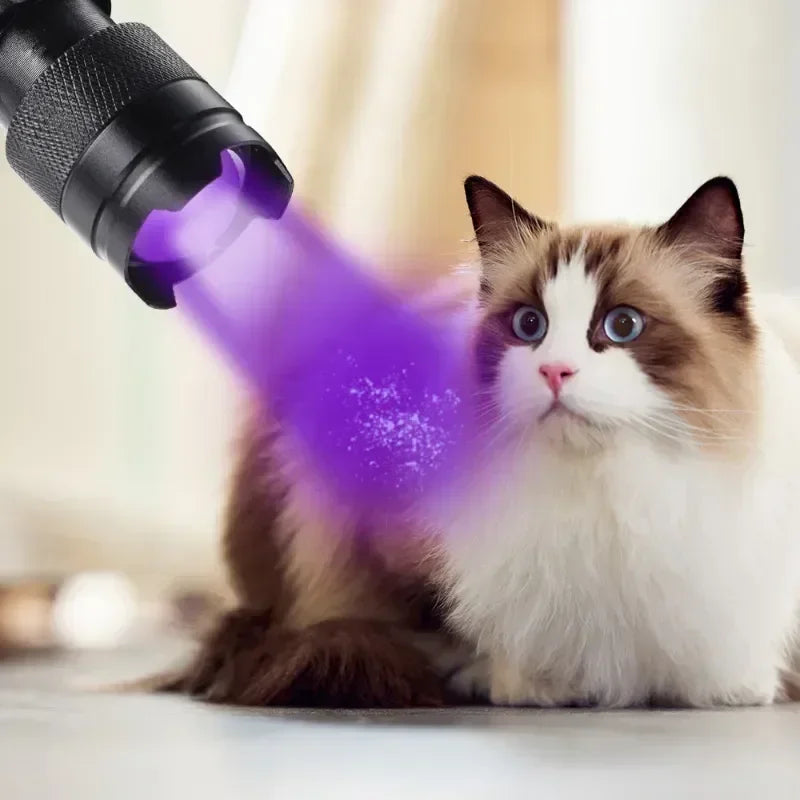 UV Flashlight LED Ultraviolet Torch | Zoomable Mini Inspection Light for Pet Urine and Stains