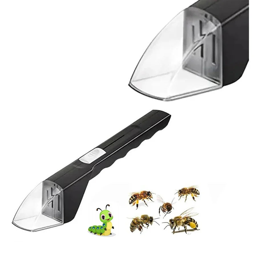 Bug Catcher for Kids | Humane Insect Observer with Clear Window