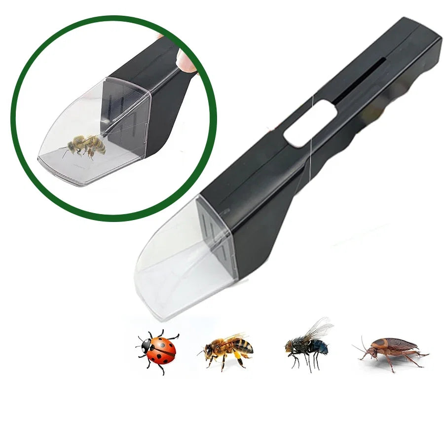 Bug Catcher for Kids | Humane Insect Observer with Clear Window