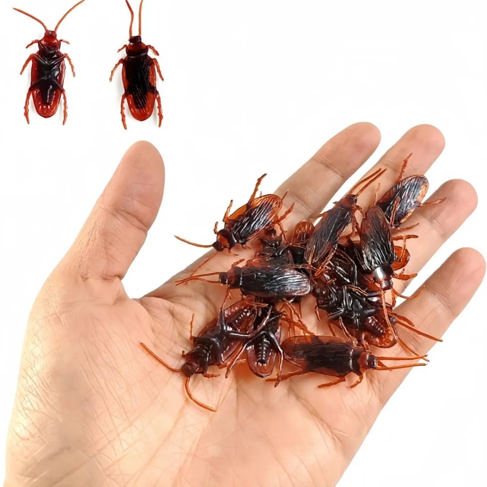 Realistic Fake Cockroaches | Prank Props for Halloween and April Fools