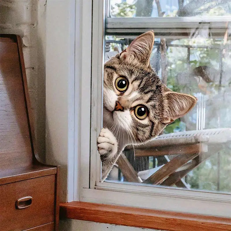 Cat Peeking Window Wall Sticker | Funny Home Decoration Decal