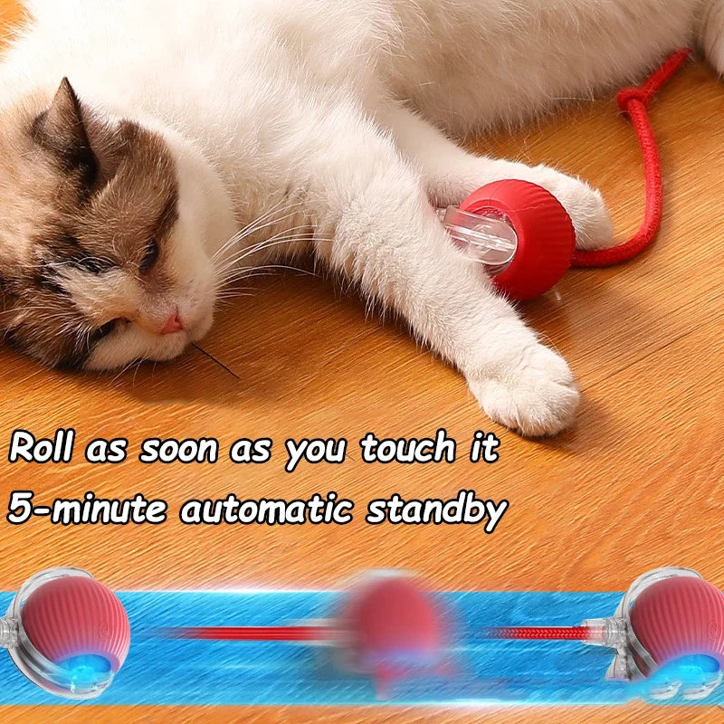 Interactive Cat Ball | Automatic Rolling Toy with Motion Sensors