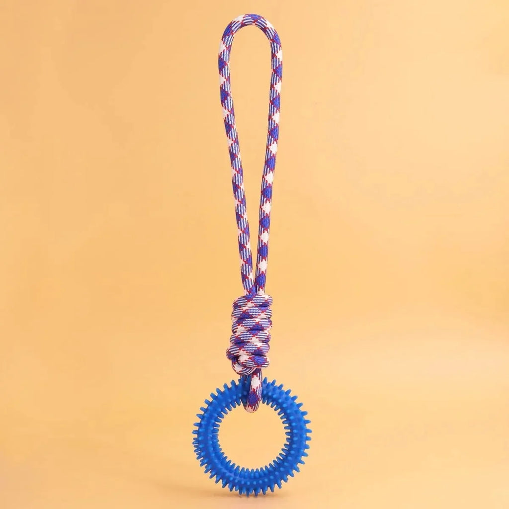 Colorful Woven Nylon Rope and Rubber Dog Toy | Chew Resistant Outdoor Play