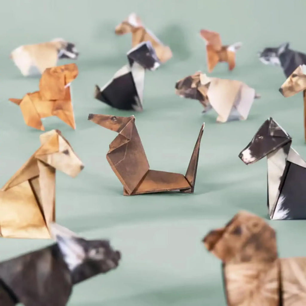 DIY Origami Paper Set | 50 Sheets Animal Craft Kit