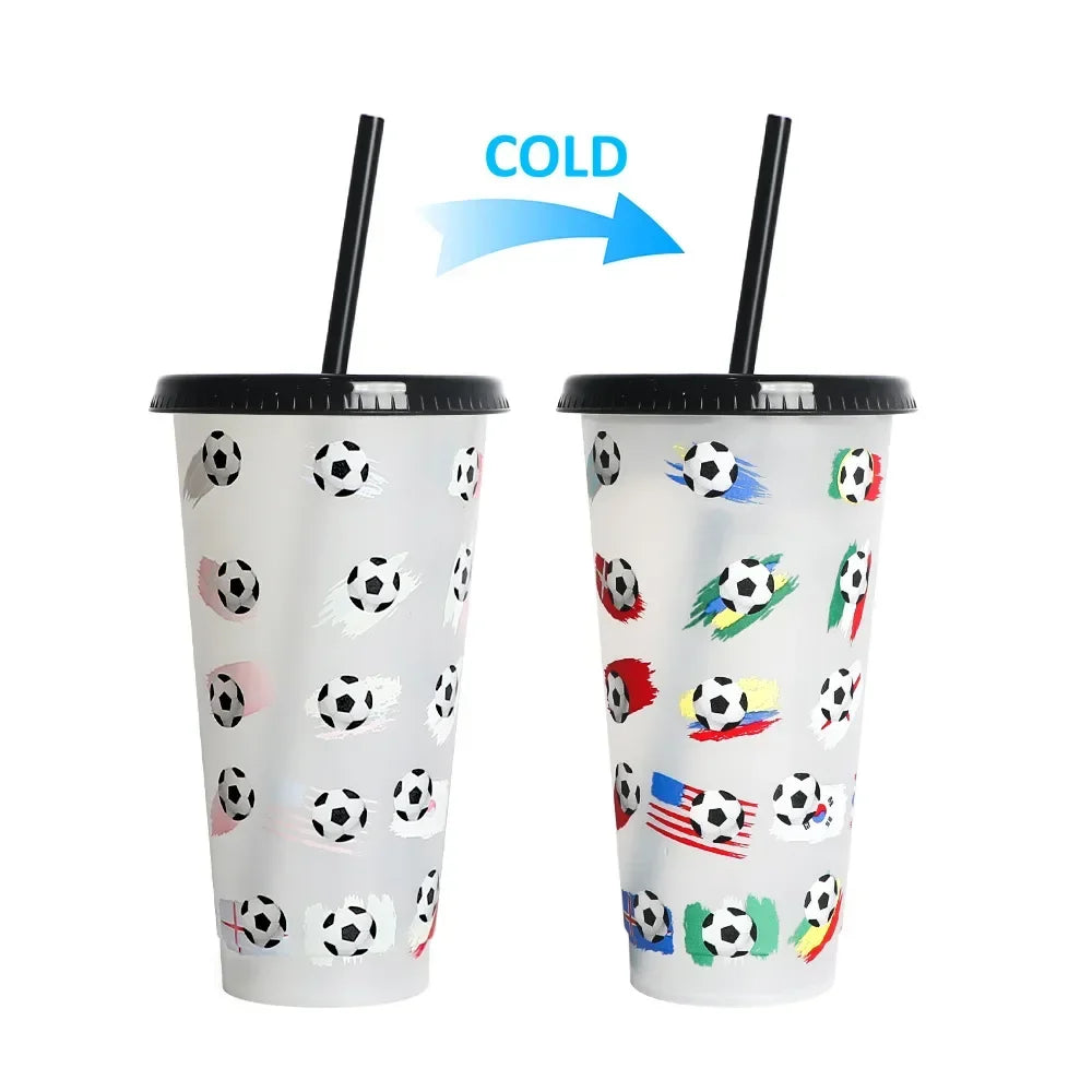 710ml Color Changing Cup with Straw | Reusable Magic Cold Water Bottle