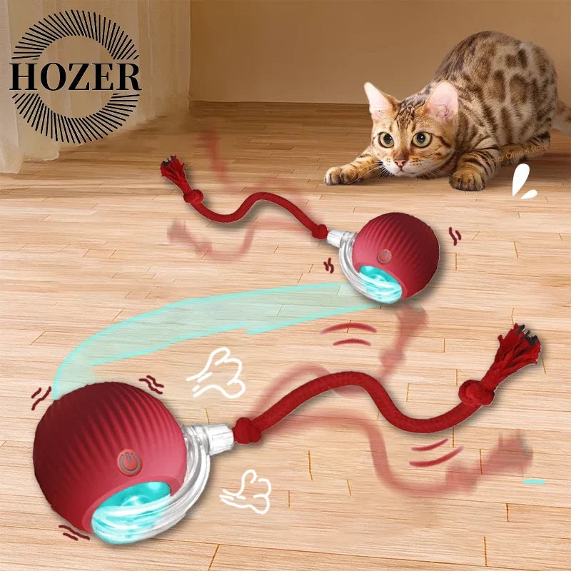 Interactive Cat Ball | Automatic Rolling Toy with Motion Sensors