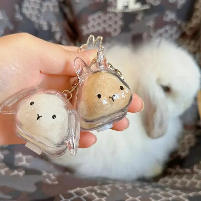 Pet Hair Memorial Transparent Storage Box Keyring | Cute Animal Rabbit Fur Organizer Keychain Bag Pendant