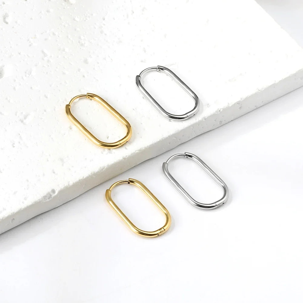 Stainless Steel Hoop Earrings for Women | Hypoallergenic Round Hinged Hoops - 12/14/16mm