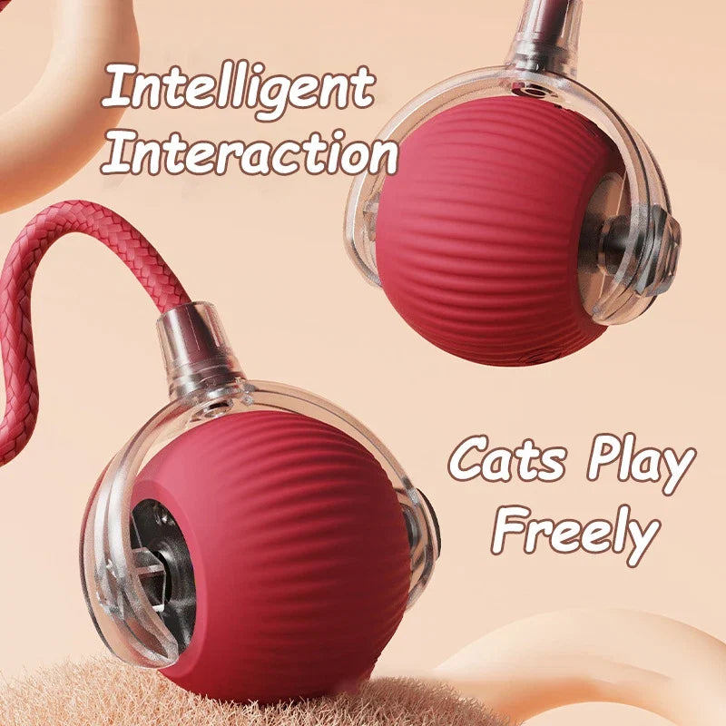 Interactive Cat Ball | Automatic Rolling Toy with Motion Sensors