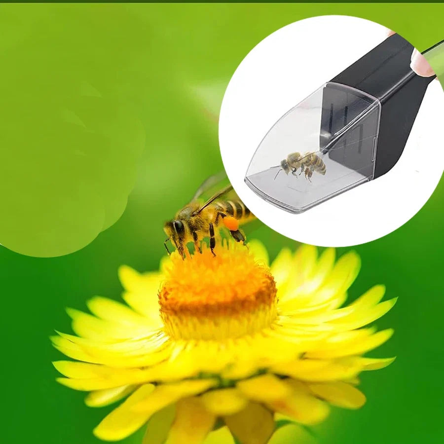 Bug Catcher for Kids | Humane Insect Observer with Clear Window