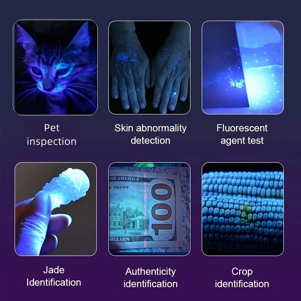 Mini 365nm/395nm UV Flashlight | USB Rechargeable Blacklight for Pet Urine Detection and Money Verification