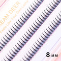 Brown Lashes A Type False Eyelashes 8-12mm | Natural Fairy Lash Clusters for Korean Makeup