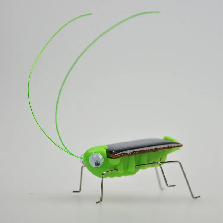 Solar Powered Grasshopper Toy | STEM Science Education Wooden Puzzle Kit