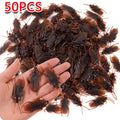 50 Halloween Plastic Cockroaches | Realistic Gag Props for Pranks