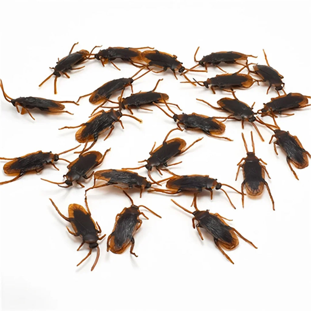 Realistic Fake Cockroaches | Prank Props for Halloween and April Fools