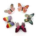 Colorful LED Butterfly Night Light | Novelty Home Decor with Battery Power