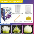 Crystal Growing Science Kit | DIY Educational STEM Toy for Kids