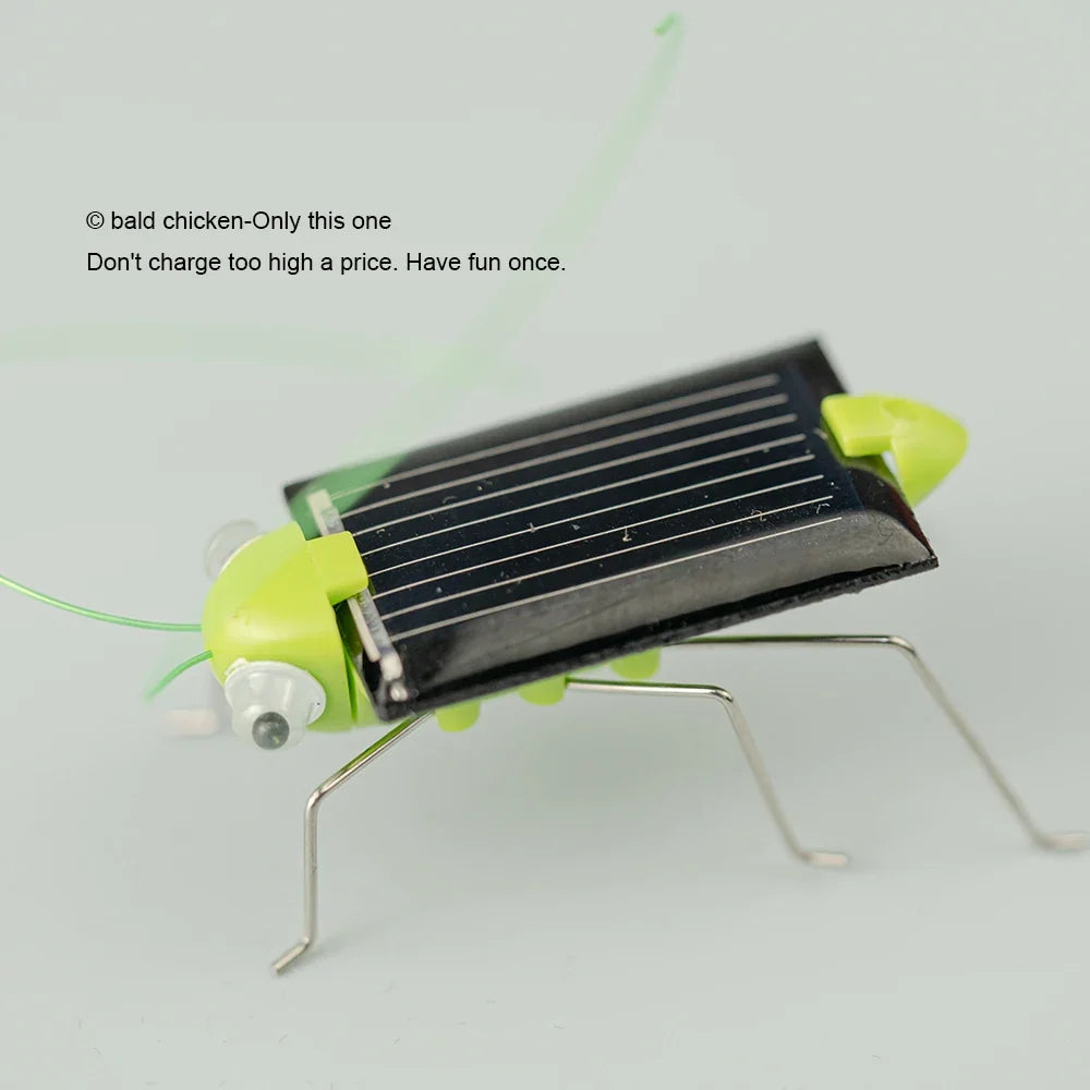 Solar Powered Grasshopper Toy | STEM Science Education Wooden Puzzle Kit
