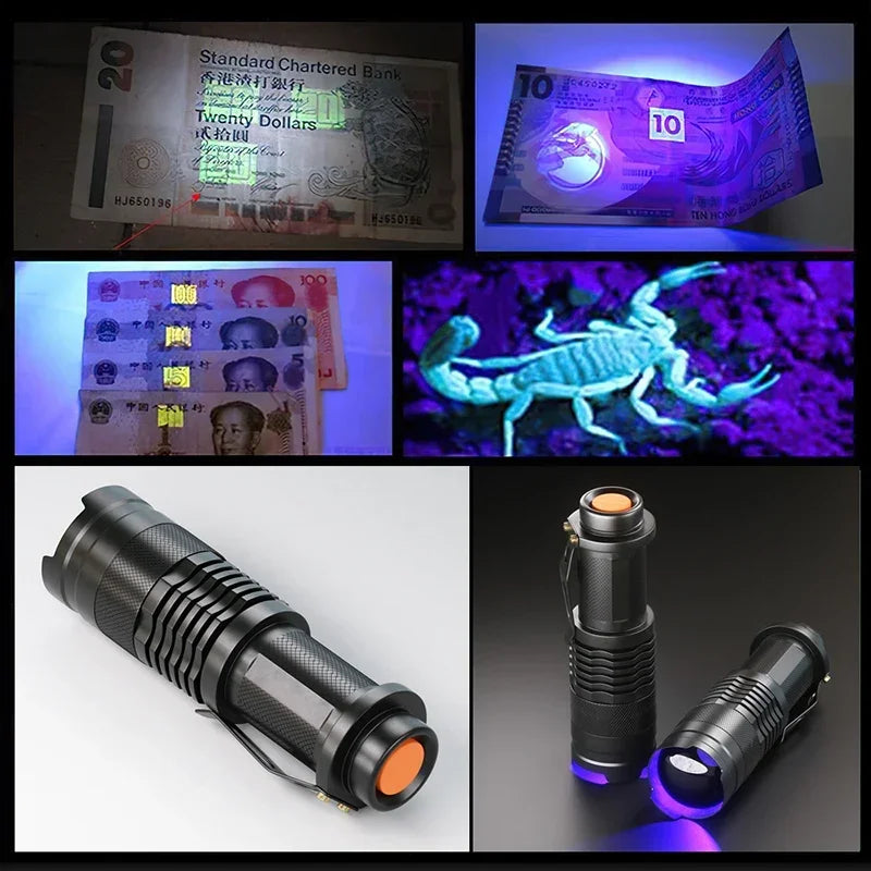 UV LED Flashlight 395nm Blacklight | Portable Pet Urine Detector & Scorpion Finder