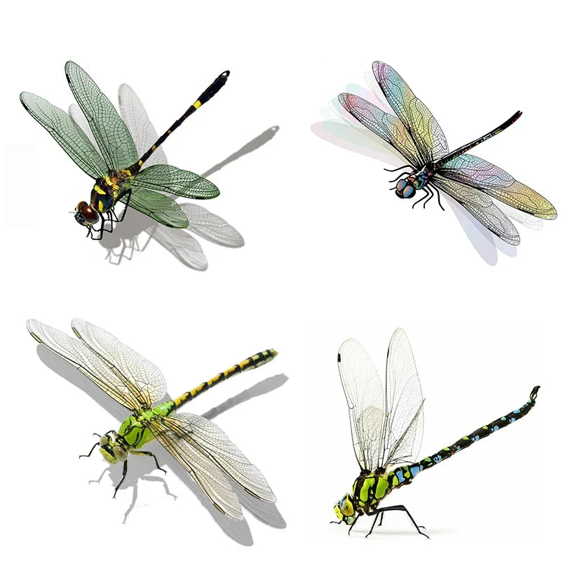 Realistic Dragonfly Wall Sticker | Home Decoration Decals