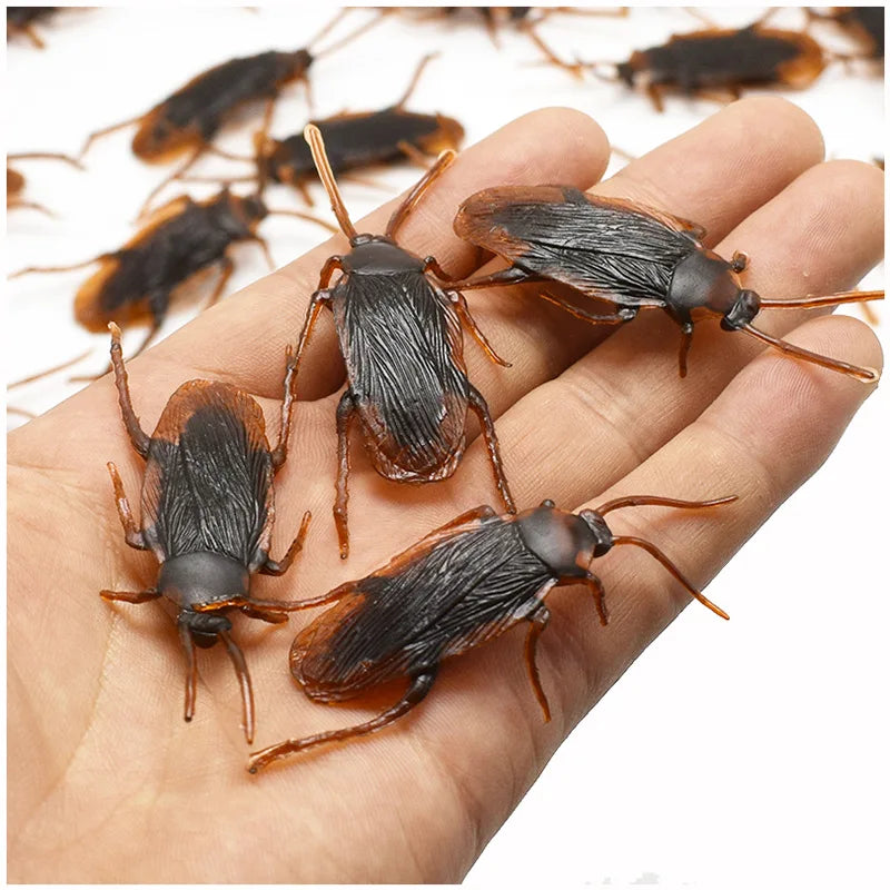 Realistic Fake Cockroaches | Lifelike Prank Toy for Gags and Jokes