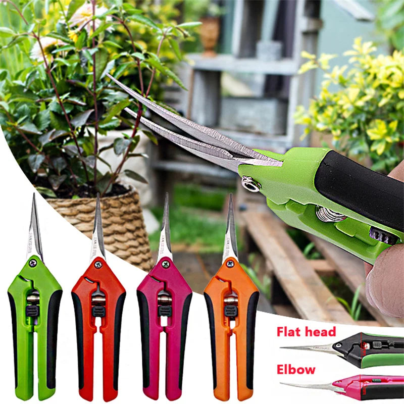 6.5 Inch Gardening Scissors Hand Pruner | Pruning Shears with Stainless Steel Blades